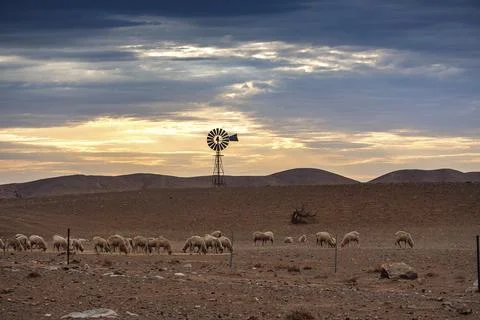 Windmill, Outback, Australia Stock-Fotos