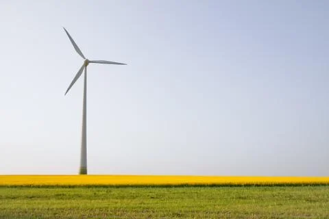 Windmill over horizon Stock Photos