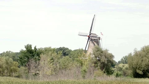 Windmill Over treeline Stock Footage 85571870