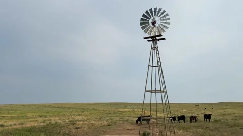 Windmill in a pasture 4K Stock Footage 138811246
