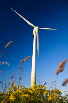 Windmill Stock Photos