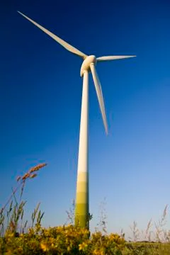 Windmill Stock Photos