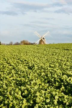 Windmill Foto stock