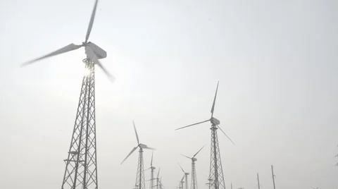 Windmill plants Видео 66295743