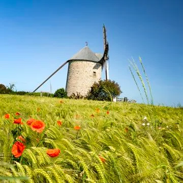 Windmill in Pontorson Stock Photos