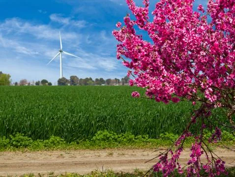 Windmill power generator. Stock Photos