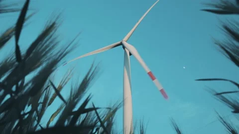 Windmill with propeller against blue sky view from wheat Stock Footage 155689065
