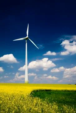 Windmill with rape Stock Photos