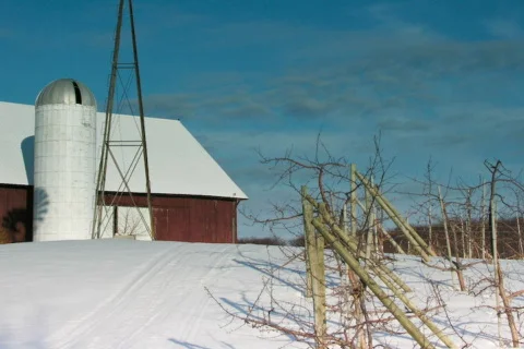 Windmill shadow with moonrise Stock Footage 110396