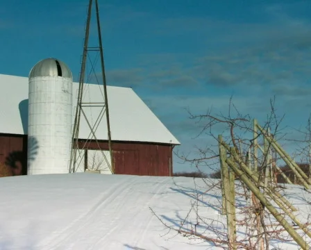 Windmill shadow with moonrise Stock Footage