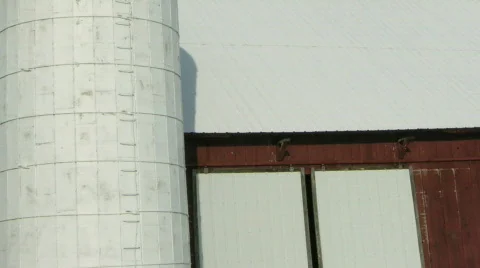 Windmill shadow on silo and barn Stock Footage 110409