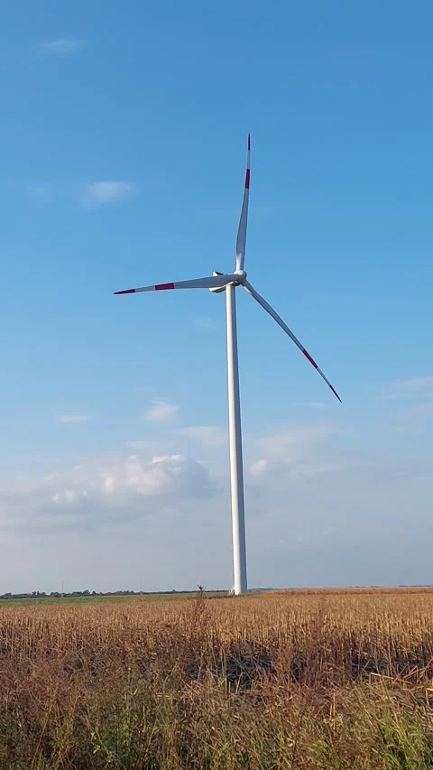 Windmill Short Video Video stock 250886482