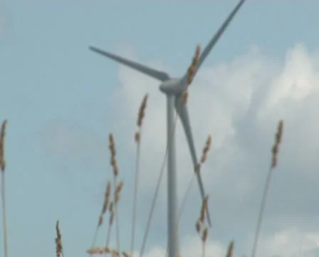 Windmill spin flora Stock Footage