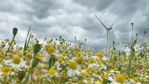 The windmill is spinning slowly, producing environmentally friendly, green en Stock Footage 133172895