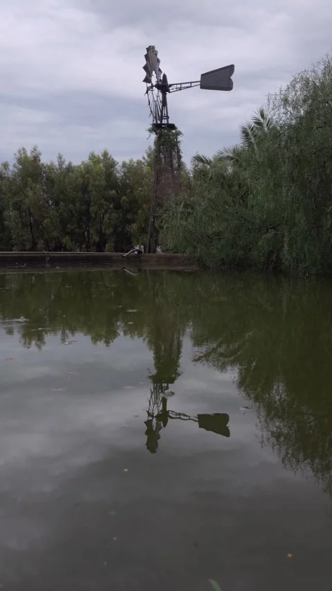 Windmill standing by a pond with its reflection on the water and rain drops.. Stock Footage 318853718