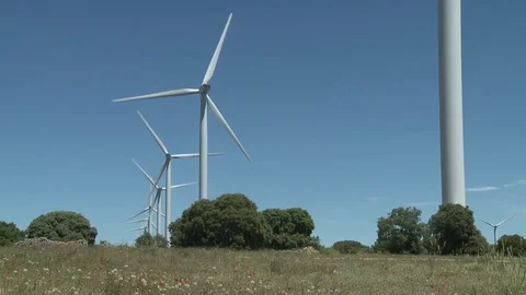 Windmill still shot wind farm Stock Footage 73896568
