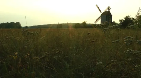 Windmill at sunset Stock Footage 53821661