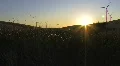 Windmill Sunset HD HD Footage