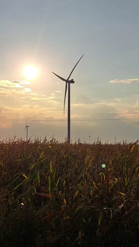 Windmill Sunset Video Footage Video stock 262170235