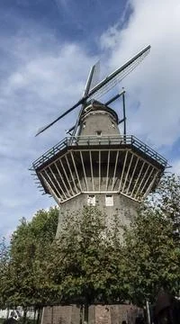 Windmill surrounded by bushes Stock Photos