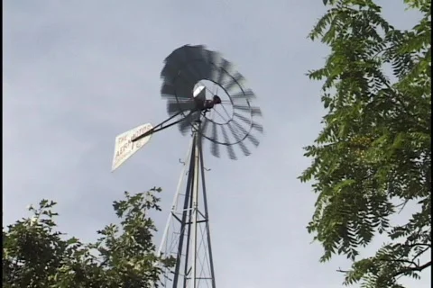 Windmill Through Trees Stock Footage 298789