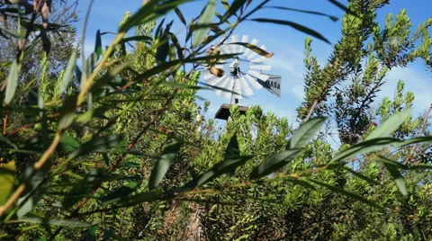 Windmill through trees Video stock 44113525