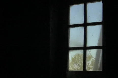 Windmill through window Stock Footage 265656