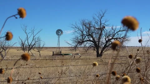 WIndmill in Trees Stock Footage 263087843