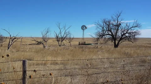 WIndmill in Trees Stock Footage 263087844