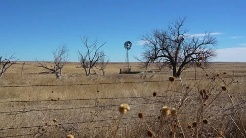WIndmill in Trees Stock Footage 263087847