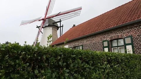 Windmill view beyond hedges in Belgium 스톡 동영상 76967918