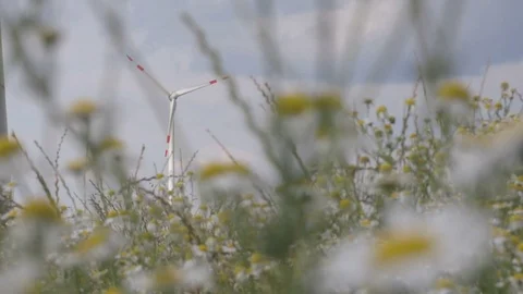 Windmill view through the grass energy production Stock Footage 77536245