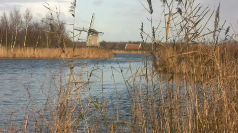 Windmill in the wetlands Stock Footage 108249