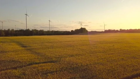 Windmill wheatfield 3k Stock Footage 114577950