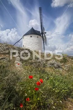 Windmill with wildflowers growing in the foreground,Spain Stock Photos