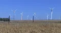 Windmill Wind Farm 7 HD Footage