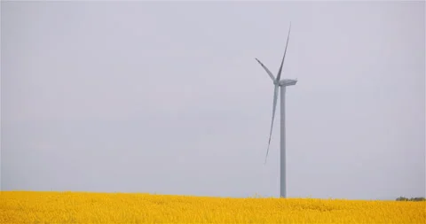 Windmill Wind Turbine Propeller Rotating at Rapeseed Farm Stock Footage 131009456