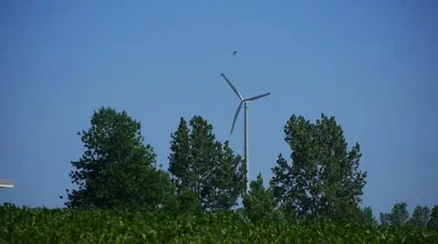 Windmill in a Wisconsin Field 库存影片 11229058