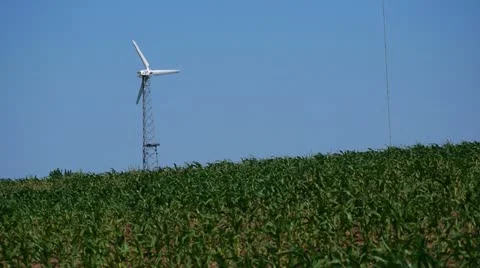 Windmill in a Wisconsin Field Vidéo 11229157