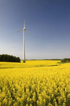 Windmill witch rape Stock Photos