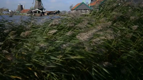 Windmill in Zaanse Schans Amsterdam Stock Footage 81982420