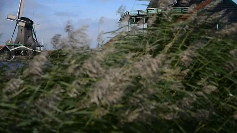 Windmill in Zaanse Schans Amsterdam Stock Footage 81982470