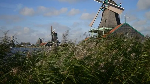Windmill in Zaanse Schans Amsterdam Stock Footage 81982918