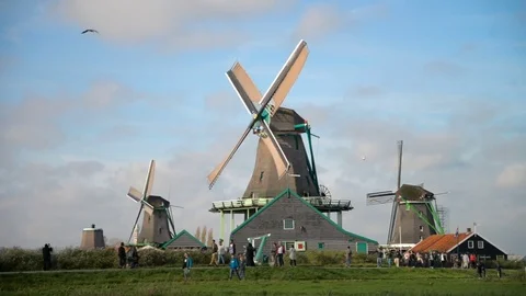 Windmill in Zaanse Schans Amsterdam Stock Footage 81983111