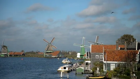Windmill in Zaanse Schans Amsterdam Stock Footage 81983841