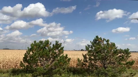 WindmillFarm 4 Stock Footage 219293690
