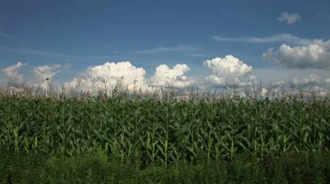 Windmills-29 Stock Footage 8555867