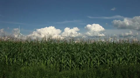 Windmills-31a 動画素材 8555674