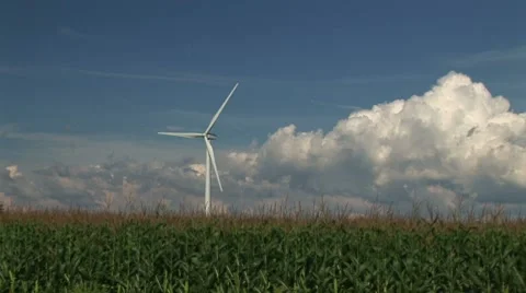 Windmills-34a 動画素材 8555412