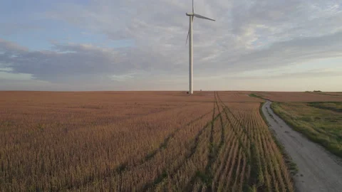 Windmills 4 Stock Footage 165368404